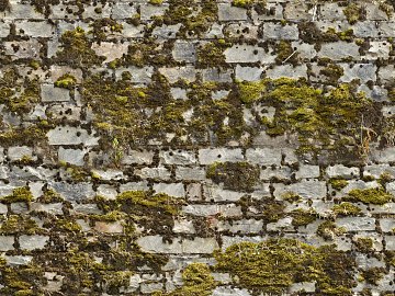 outdoor stone brick wall texture (ID:ffajf6227)