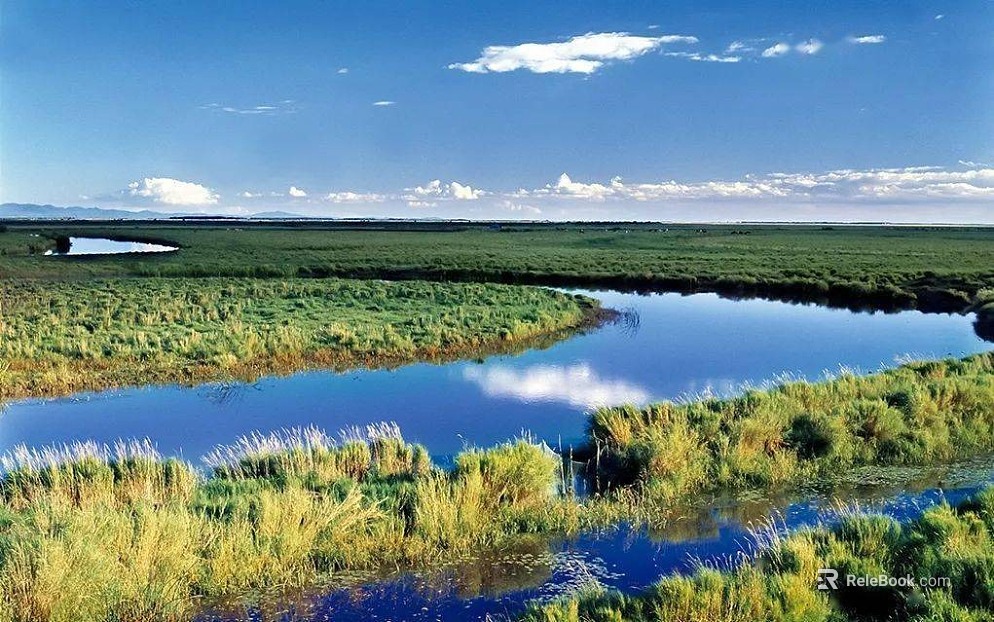 Wild Scenery texture