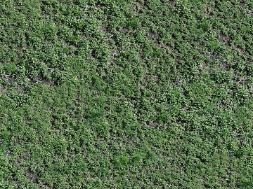 Turf ground 3d model