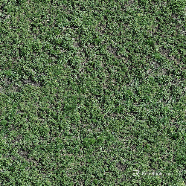 Turf ground texture