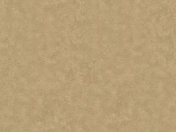Mud texture (ID:ffaag85752)