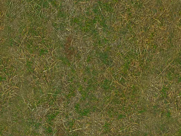 Turf 3d model