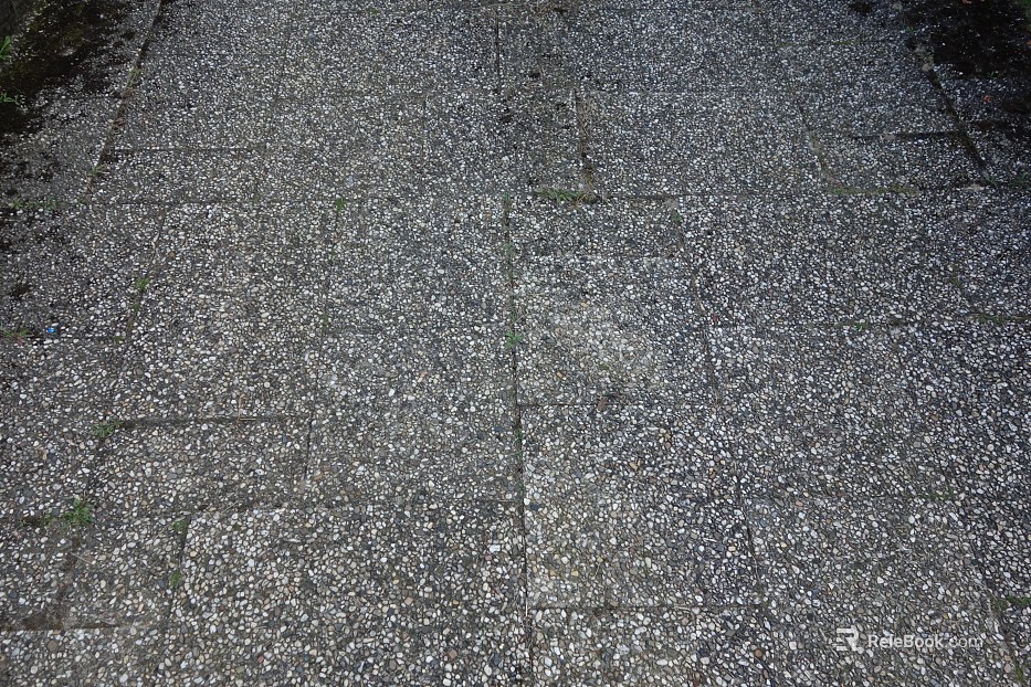 Stone Paving texture