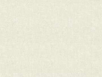 plain cloth texture (ID:ffaag52368)