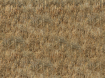 Thatch texture (ID:ffacg99583)