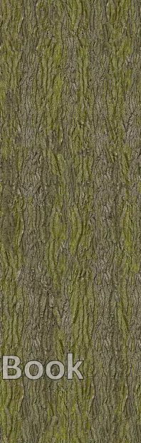 bark texture