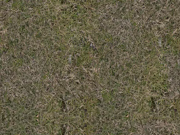 ground turf lawn greening soil ground texture (ID:ffach648456)