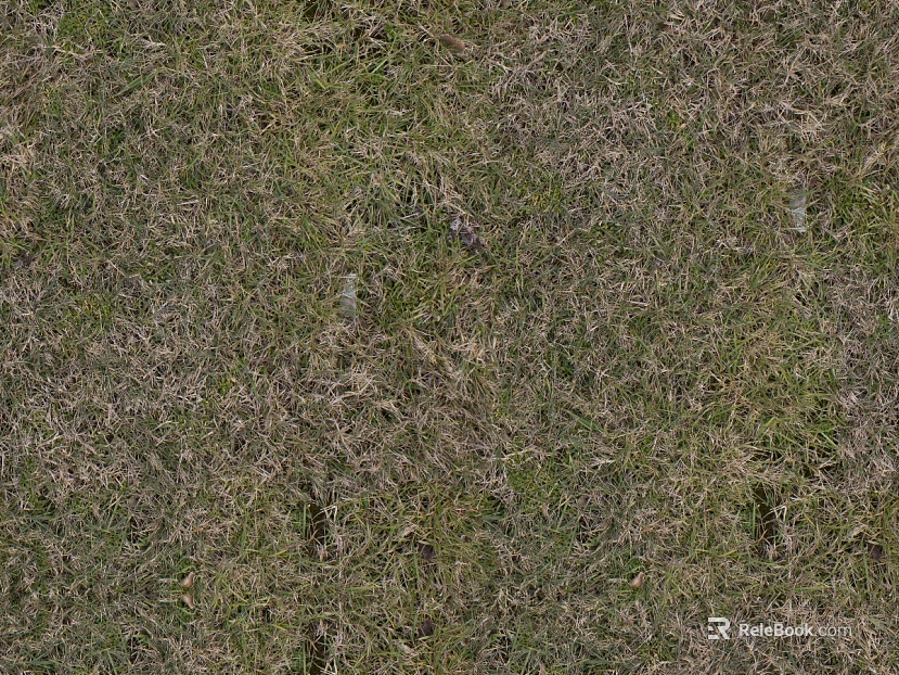 ground turf lawn greening soil ground texture