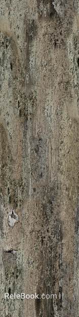 old wood texture
