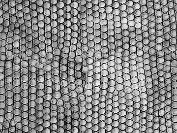 Coarse-grain leather texture (ID:ffagg16311)