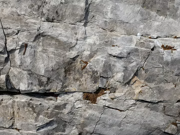 Grey Rock Outdoor Wall Stone texture (ID:ffaeh864882)