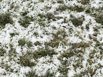 Ground-Snow texture (ID:ffaaf0388)