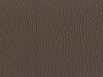 fine grain leather texture (ID:ffacg56124)