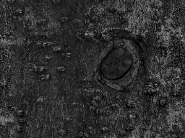 black and white bark texture (ID:ffacg65697)