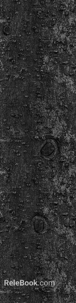 black and white bark texture