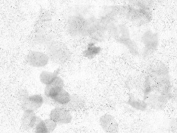 Highlight Mask texture (ID:ffaag94094)