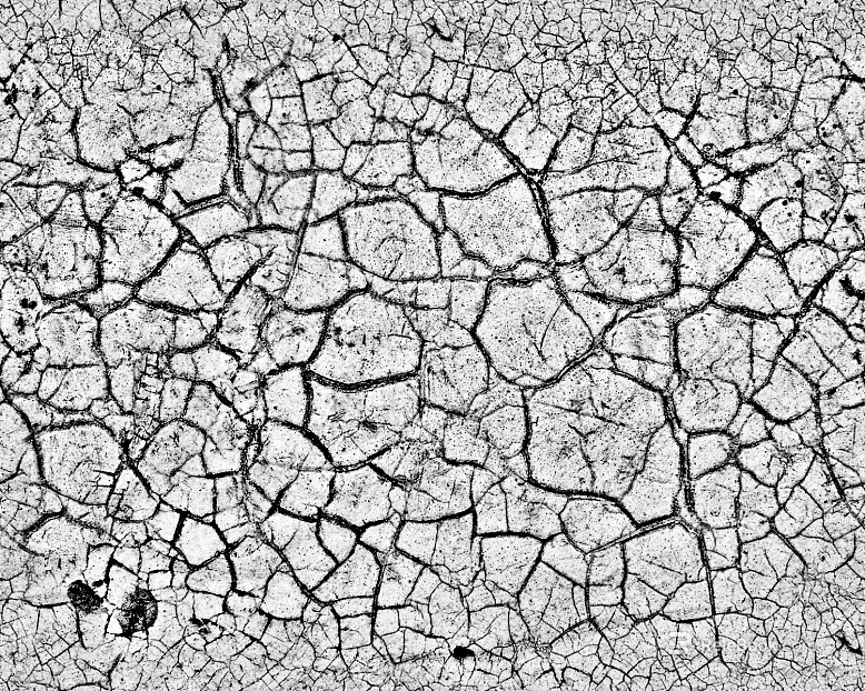 Mud texture
