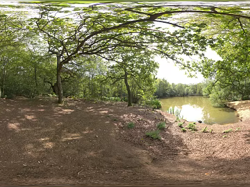 Outdoor Woods Lake Daytime HDR texture (ID:ffabg24241)