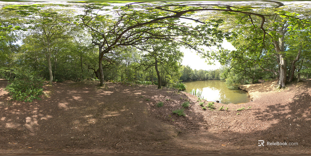 Outdoor Woods Lake Daytime HDR texture
