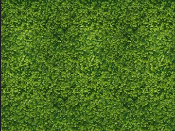 Plants texture (ID:ffacg01794)