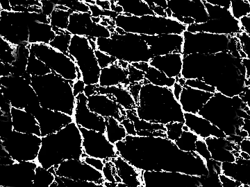 black and white scratch texture (ID:ffach261361)