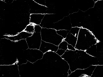 black and white scratch texture (ID:ffach960561)