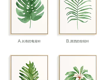 Plant painting 3d model