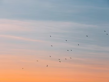 Sky texture (ID:ffabg50348)
