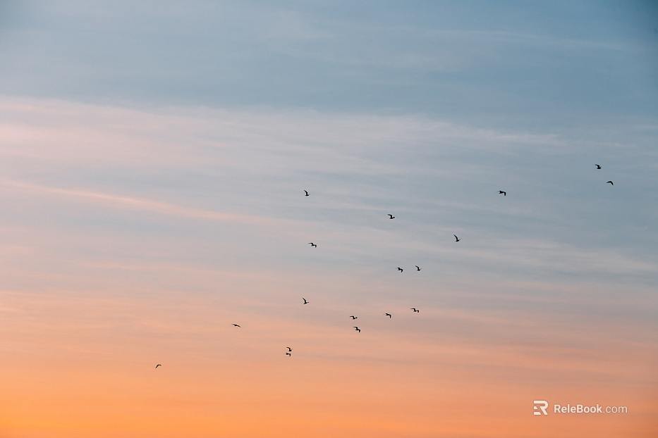 Sky texture