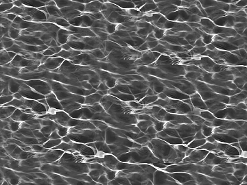 Black and White Bump texture (ID:ffach218316)