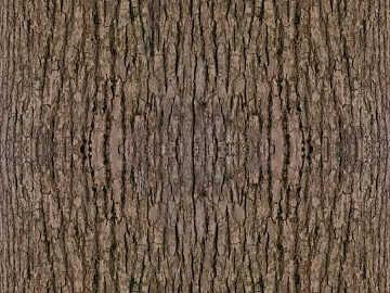 bark texture (ID:ffajg99396)