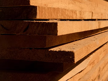 Trunk section texture (ID:ffaeg02977)