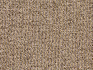Coarse carpet 3d model