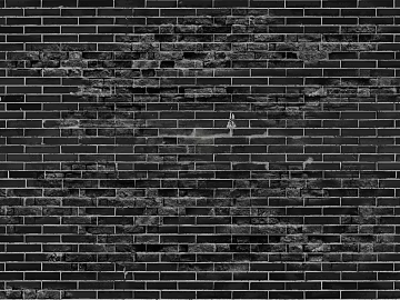 Brick wall texture (ID:ffach796006)