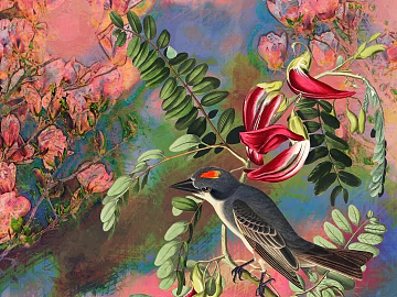 flower-and-bird painting 3d model