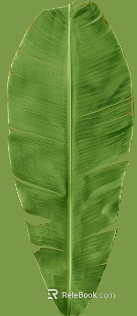 leaves texture