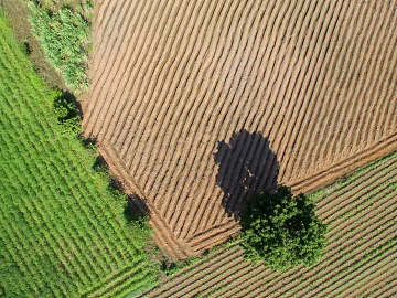 Pastoral scenery texture (ID:ffajg73430)
