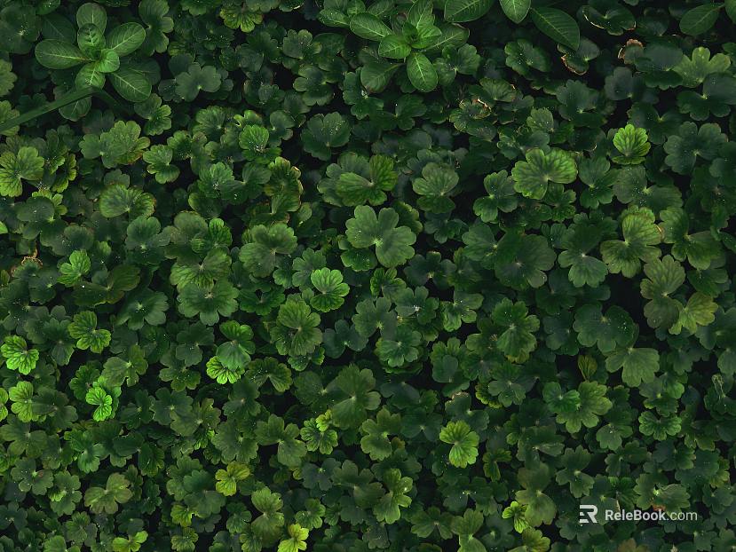 plant pattern texture