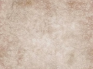 fine grain leather texture (ID:ffacg18956)