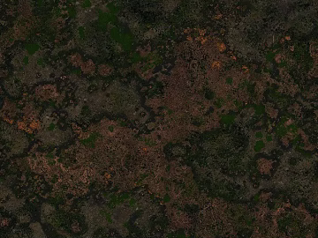 Dark brown green moss earth ground texture (ID:ffaeh530489)