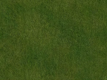 Turf texture (ID:ffaeg81395)