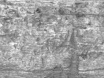 black and white old wood texture (ID:ffacg46776)