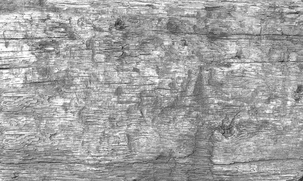 black and white old wood texture