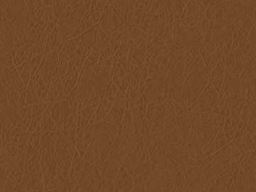 Coarse-grain leather 3d model
