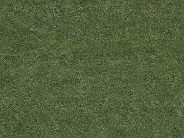 Turf texture (ID:ffajg63250)