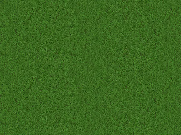 Turf texture (ID:ffaeg52080)