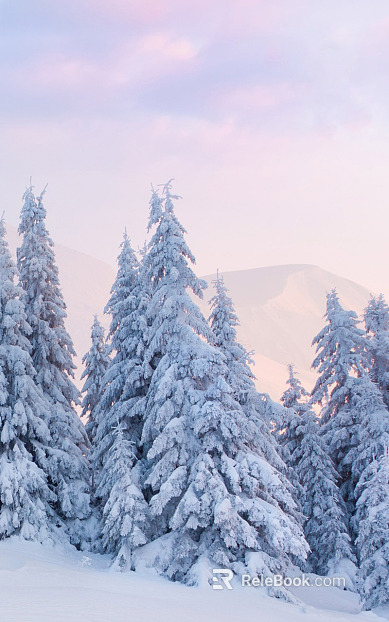 Snow texture