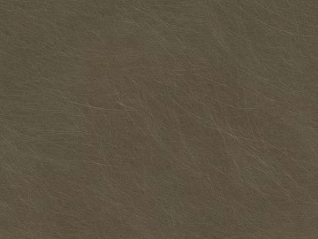 brushed metal texture (ID:ffaeg47821)