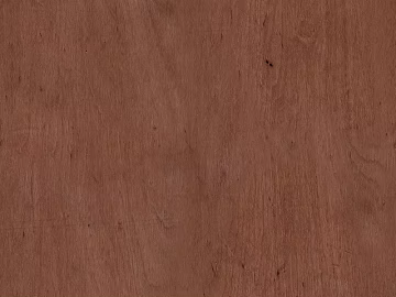 wood grain seamless 3d model