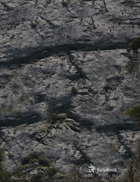 Grey Rock Outdoor Rock Wall Stone texture